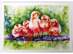 Chicks Postcard Print