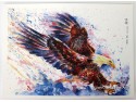 Eagle Postcard Print