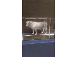 Laser Etched Crystal Block - Ox